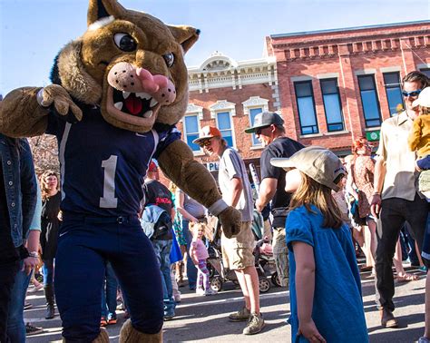 Local Mascots and Social Media: Leveraging Online Platforms to Engage with Fans